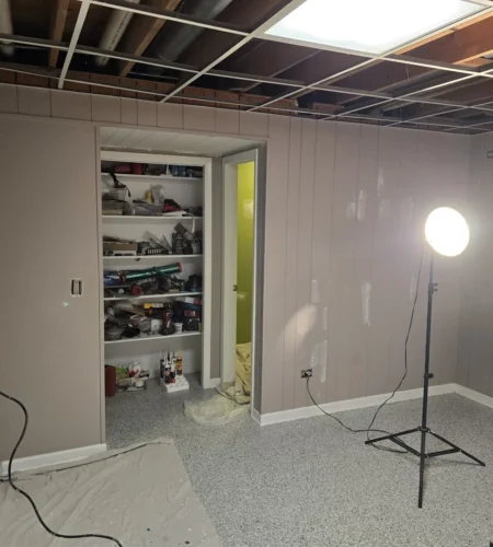 small basement painting